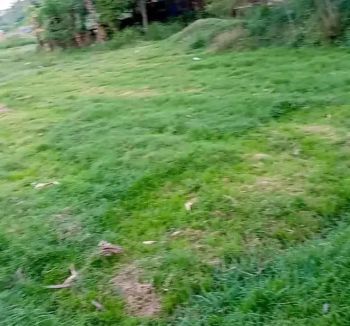 Tanah kebun rata dekat pemukiman