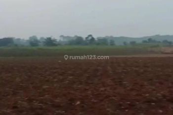 Tanah di Desa Mekar Sari, Cisauk Tangerang Luas 37.000 Meter