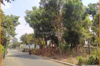 Tanah Jogja SHM Pekarangan Di Tirtomartani Dekat Candi Sambi Sari