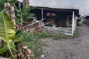 Tanah Dijual Jogja Di Imogiri Timur.LOKASI STRATEGIS!!!