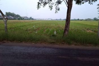Jual Tanah Karanganyar Cocok untuk Usaha, Hanya 200 Meter dari Jalan Pantura