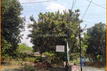Jual Tanah Jogja Nego Dekat Candi Sambi Sari Strategis