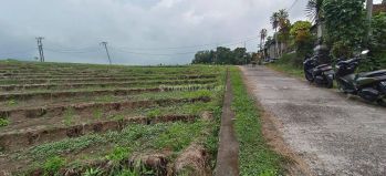 Tanah kebun view sawah dekat pantai di bali