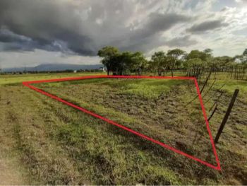 Jual SAWAH PRODUKTIF Area Cot Cut (Dekat Darussalam)