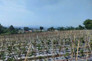 Dijual Cepat Tanah di Cimahi Utara