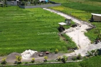 TANAH VIEW SAWAH CANTIK DEKAT PANTAI PERERENAN CANGGU