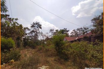 Tanah Jogja 2jutaan Tanpa Ribet Tirtomartani Dkt Candi Prambanan