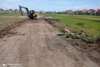 TANAH KAVLING DEKAT JALAN RAYA PEMOGAN