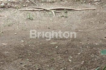 Tanah kavling di Perumahan Darmo Hill