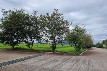 Jarang Ada Tanah Kavling Posisi Hoek di Setraduta Grande