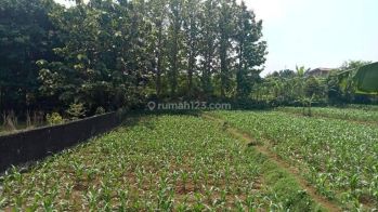 Lahan Perumahan di kec Tamansari Bogor