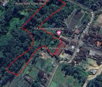 Tanah Disewakan di Tegalalang, Ubud.