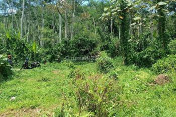 Tanah Kebun Murah Produktif di Malang Raya