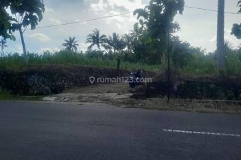 Disewakan Tanah Kosong View Merapi Di Sleman, Yogyakarta