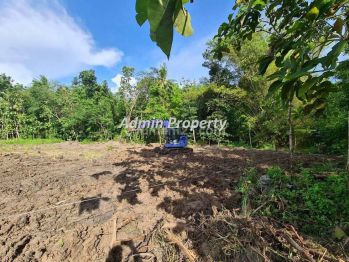 Tanah Dijual di Bangunjiwo, Bantul 6 Menit Umy