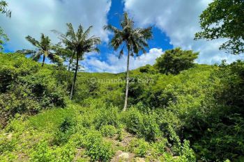 Tanah dengan view laut di Mekarsari lancing lombok tengah bisa di bayar setahun
