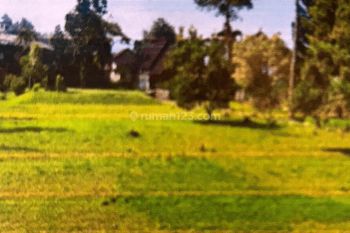 Teja Sukmana Tanah Bangunan Murah Banget di Megamendung Bogor