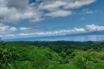 Lahan Pinggir Jalan Aspal Full View Laut Lokasi Nusa Penida