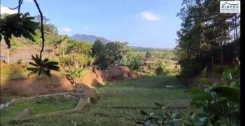 Jual 2 Unit Rumah Semi Villa Ada Kebun Manggi dan Durian