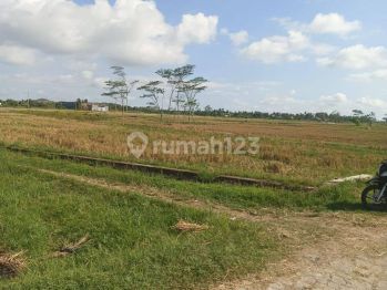 Tanah Sawah Lokasi Strategis Di Sleman DI Yogyakarta