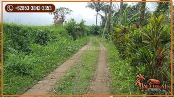 Dijual Nett Persawahan 3,100 M2 Datar Akses Mobil