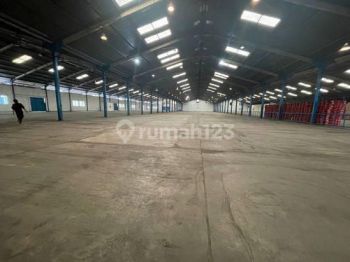 Sewa Gudang Sidoarjo, Stok Terbatas