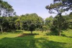 thumbnail-kavling-view-gunung-jl-raya-pasir-angin-gadog-ciawi-bogor-1