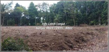 Tanah Jogja SHM Pekarangan Dekat Candi Morangan Akses Mudah