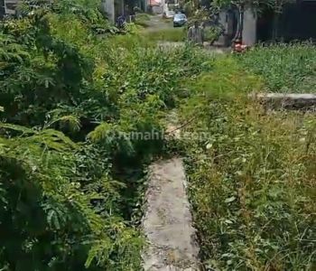 Tanah 4 are di Munggu SHM yellow zone 100%