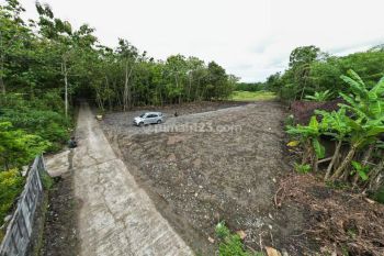 Dijual Tanah Jogja Dekat Pabrik Quick Sentolo, Cocok Investasi