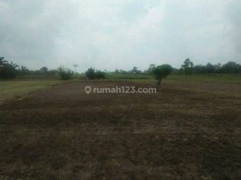 Tanah kavling murah golf view 45jt/m bukit Darmo golf