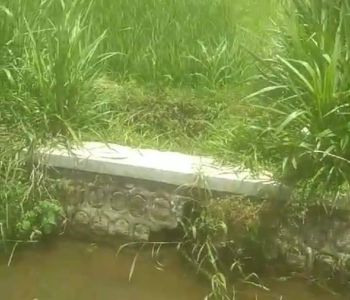 Dijual tanah murah di Sidodadi garum garum Blitar