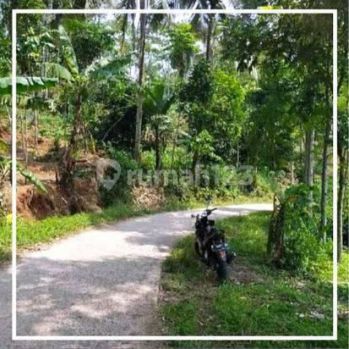 Invest Tanah Kebun (BU) Jual Murah LT 5932 m2 Cianjur Jawa Barat