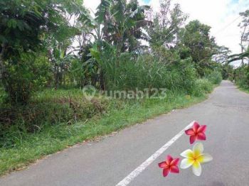 Jtu 1068, Tanah Posisi Pinggir Jalan Luas 14 Are di Tegallalang