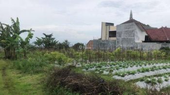 Tanah Perumahan Malang SHM 5 Menit Kampus UB