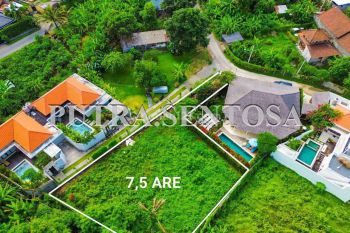 Land For Rent Canggu Tiying Tutul Veteran