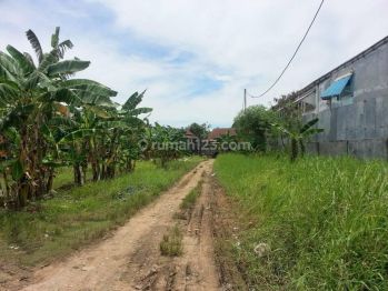 Murah Tanah Rawa Buaya Jakarta Barat