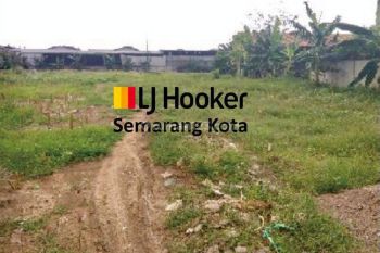 Sale Tanah Kavling: Kavling di Jolotundo