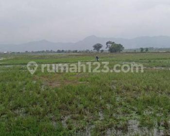 Tanah Murah Nego Area Buah Batu Dekat Podomoro