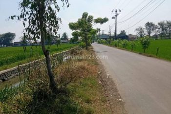 Dijual Tanah 1 Ha di Sukatani Kab Bekasi