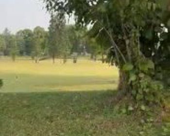 Dijual Kavling Di Cluster Paramount Hills Golf phg