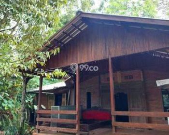 Rumah Joglo Halaman Luas Cocok Untuk Villa di Cangkringan