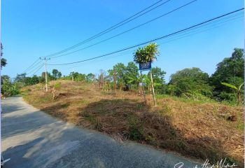 Tanah 12.470 m² di Cilograng Lebak Banten