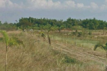 Sale Tanah Kavling: Dijual Tanah Kavling