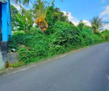 Tanah Dijual 4.6 Are Jalan Utama Tumbak Bayuh Pererenan