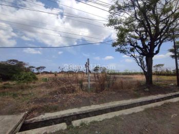 Tanah Industri Di Pinggir Jl. Raya Pangenan, Cirebon