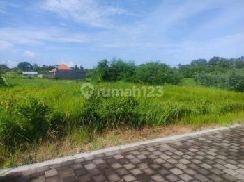 017 DIJ-Dijual Tanah di Braban Tanah Lot 6 Are