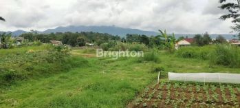TANAH LUAS HIJAU DI PUNCAK CIPANAS JAWA BARAT