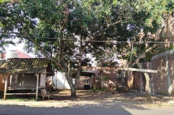 DI JUAL TANAH SIAP BANGUN DI TEMBALANG DEKAT UNDIP