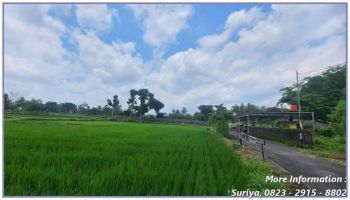 Jual Tanah Sleman Dekat UII Jl Kaliurang